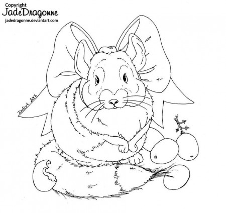 Chinchilla and grapes - LINEART by JadeDragonne.deviantart.com on  @DeviantArt in 2020 | Animal sketches, Colorful art, Chinchilla