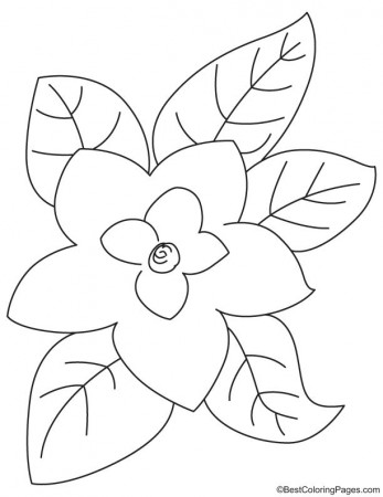 Magnolia with leaves coloring page | Download Free Magnolia with leaves coloring  page for kids | Best Coloring Pages