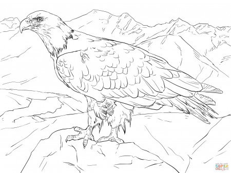 Bald eagle coloring pages | Free Coloring Pages