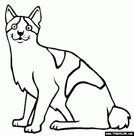 Cats Online Coloring Pages