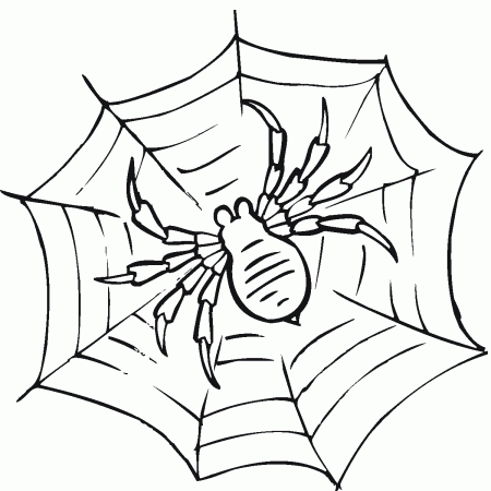 Free Printable Spider Web Coloring Pages For Kids