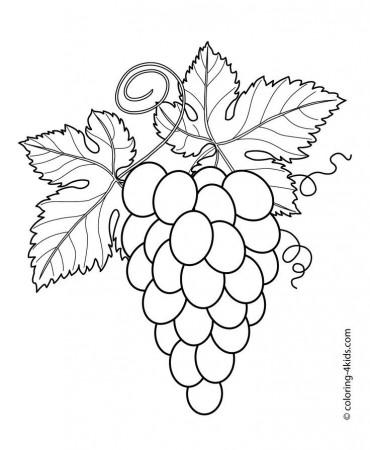 gyumolcs_zoldseg | Coloring Pages, Fruit and Coloring ...