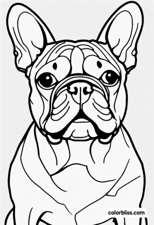 French Bulldog Coloring Page | ColorBliss