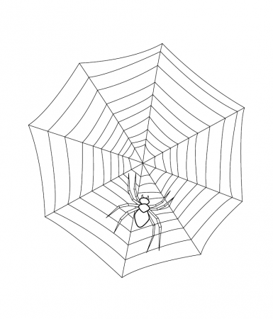 spiderweb coloring pages