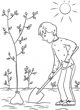 Boy Planting a Tree Coloring Page - Free Printable Coloring Pages for Kids