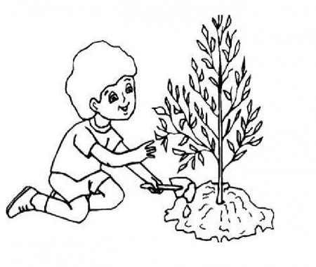 Coloring Pages of Plant Trees Save Earth | Coloring - ClipArt Best -  ClipArt Best