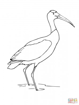 Stork coloring pages | Free Coloring Pages