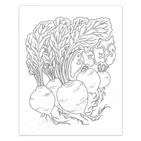 BEETS Coloring Page PDF 8.5x11 A4 Printable Downloadable - Etsy