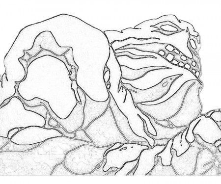 Batman Arkham City ClayFace Face | How Coloring