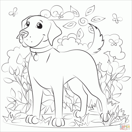 Labrador coloring page | Free Printable Coloring Pages