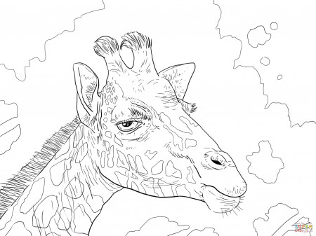 Giraffes coloring pages | Free Coloring Pages