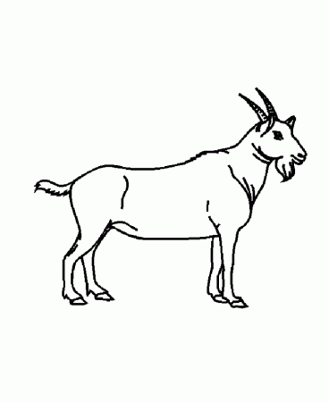 Wild Animal Coloring Pages | Big Goat Coloring Page and Kids ...