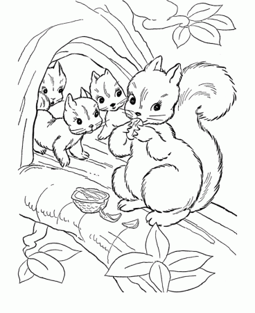 Squirrel To Color : S For Squirrel Coloring Pages. Printable ...
