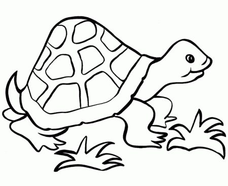 Easy Shapes Coloring Pages | Free Printable Happy Turtle Easy 