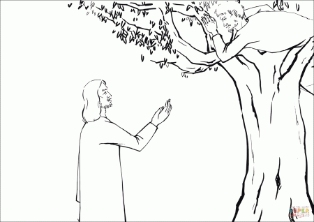 Jesus Asked Zacchaeus to Come Down coloring page | Free Printable Coloring  Pages