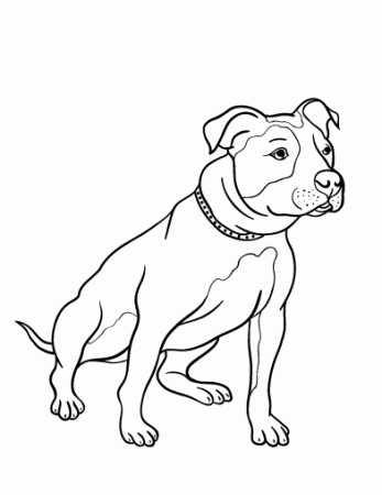 Free Pit Bull Coloring Page