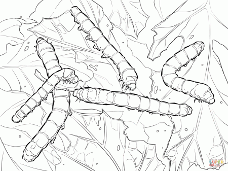 Silkworm Moth Caterpillars coloring page | Free Printable Coloring Pages