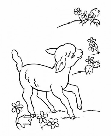 coloring pages animals | Farm Animal Coloring Pages | Printable ...