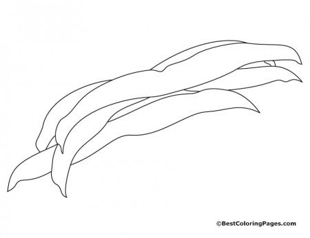 Beans coloring pages | Download Free Beans coloring pages for kids ...