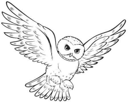 Coloring Book : Printable Owlring Pages Cute To Print Free ...