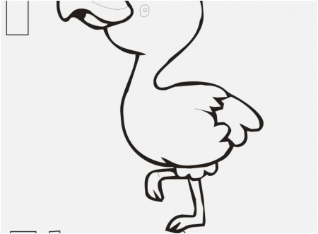 Flamingo Coloring Pages View Appealing Flamingo Coloring Pages ...