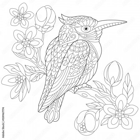 Coloring page of australian kookaburra (kingfisher bird) sitting on cherry  blossoming tree branch. Freehand sketch drawing for adult anti stress coloring  book with doodle and zentangle elements. Stock Vector | Adobe Stock