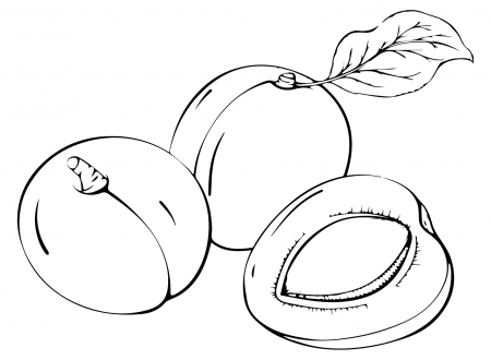 Images Nectarine Coloring Pages - Nectarine Coloring Pages - Coloring Pages  For Kids And Adults