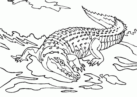 free printable crocodile coloring pages - Clip Art Library