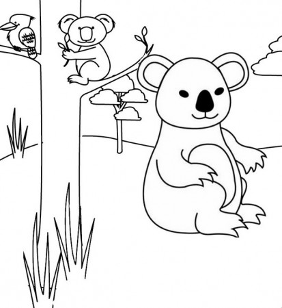 Sweet and Cute Koala Coloring Pages for Kids of All Ages ...