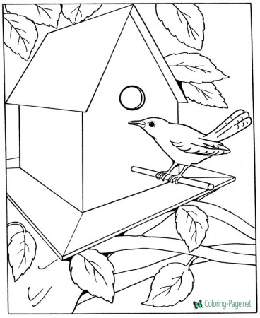 Bird House Coloring Pages to printcoloring-page.net