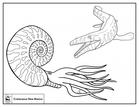 Natural History Coloring Sheets | New Mexico Museum of Natural History &  Science