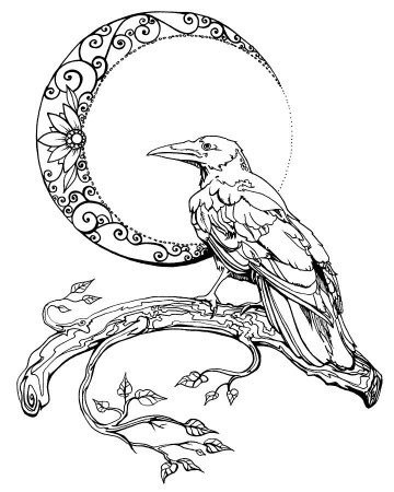Crow Image Drawing | Drawing Skill