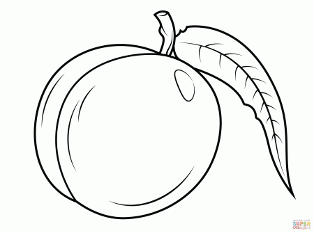 Nectarine with Leaf coloring page | Free Printable Coloring Pages