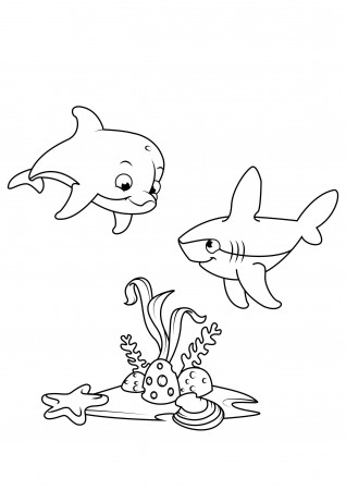 Coloring Page dolphin and shark - free ...