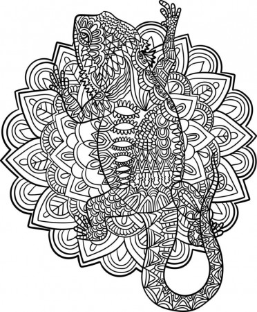 Bearded Dragon Mandala Coloring Pages for Adults 6296298 Vector Art at  Vecteezy