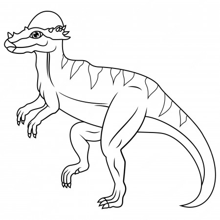 Premium Vector | Hand drawn of pachycephalosaurus line art