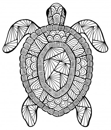 Turtle - Animals Coloring pages - 100% Mandalas Zen & Anti-stress