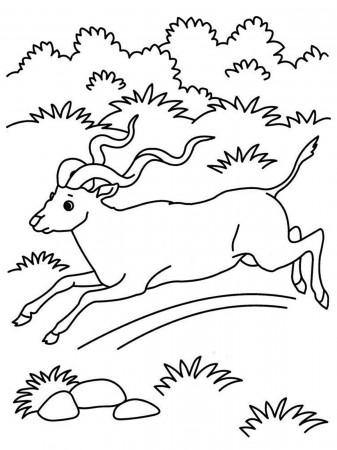 Grassland Coloring Page