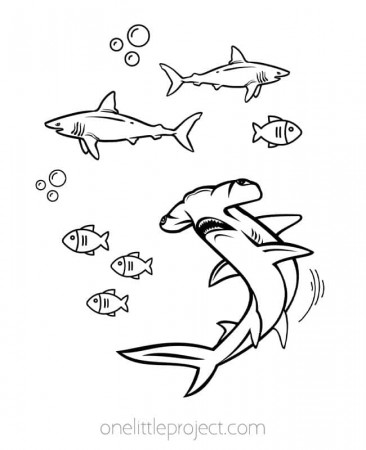 Printable Shark Coloring Sheets