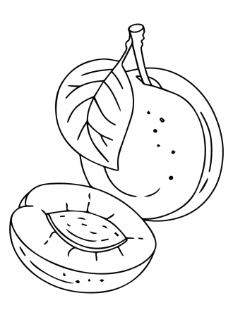 Nectarine Coloring Pages - Coloring Pages For Kids And Adults