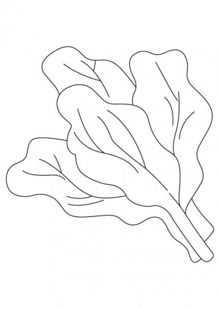 Coloring pages: Spinach, printable for kids & adults, free to download