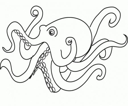 Squid coloring pages to download and print for free