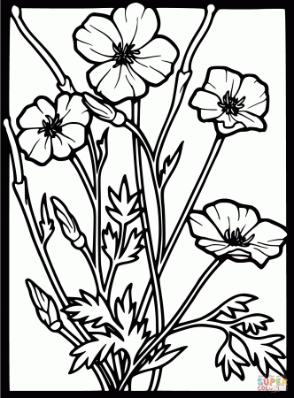 Poppies coloring pages | Free Coloring Pages