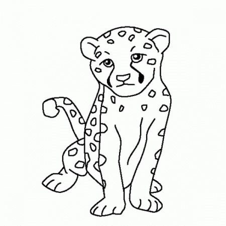 Baby Cheetah Coloring Page