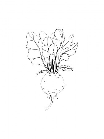 Beet coloring pages. Download and print Beet coloring pages