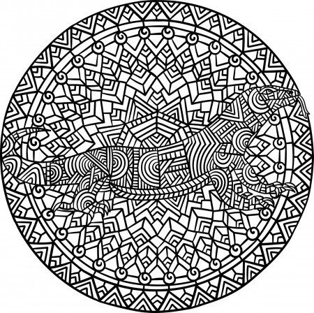 Komodo Dragon Mandala Coloring Pages for Adults 7819090 Vector Art at  Vecteezy