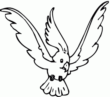 Cockatoo coloring page - Animals Town - animals color sheet - Cockatoo free  printable coloring pages animals