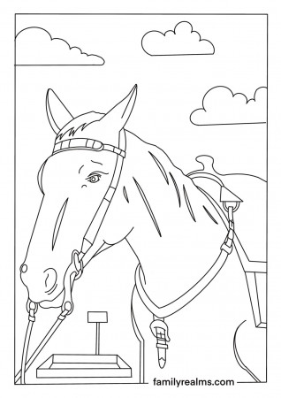 Free Horse Coloring Pages for Kids & Adults (Printable PDFs)