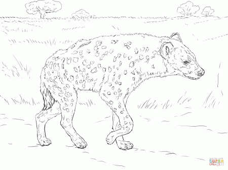 Spotted Hyena Walking In The Savannah coloring page | Free Printable Coloring  Pages