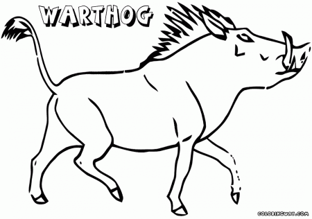 Warthog coloring pages | Coloring pages to download and print